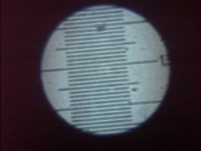 Снимок под микроскопом